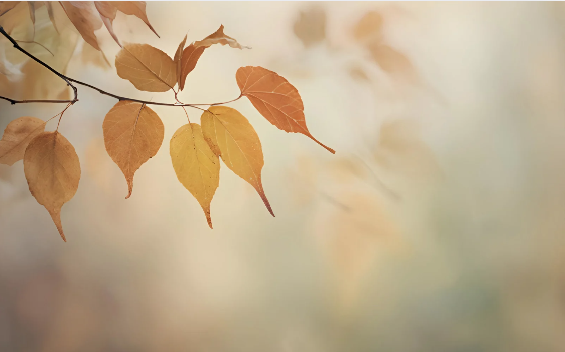 autumn leaves, brown