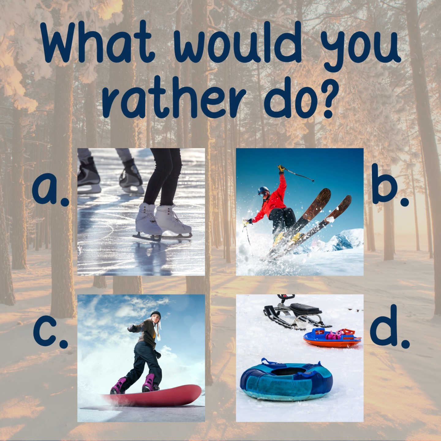 Which winter activity would you rather do?