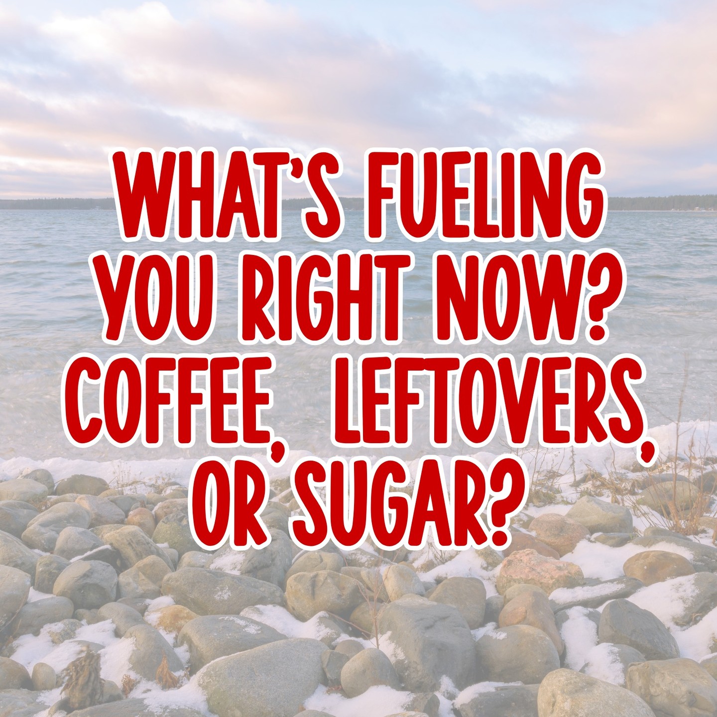 What is your fuel? ⛽️