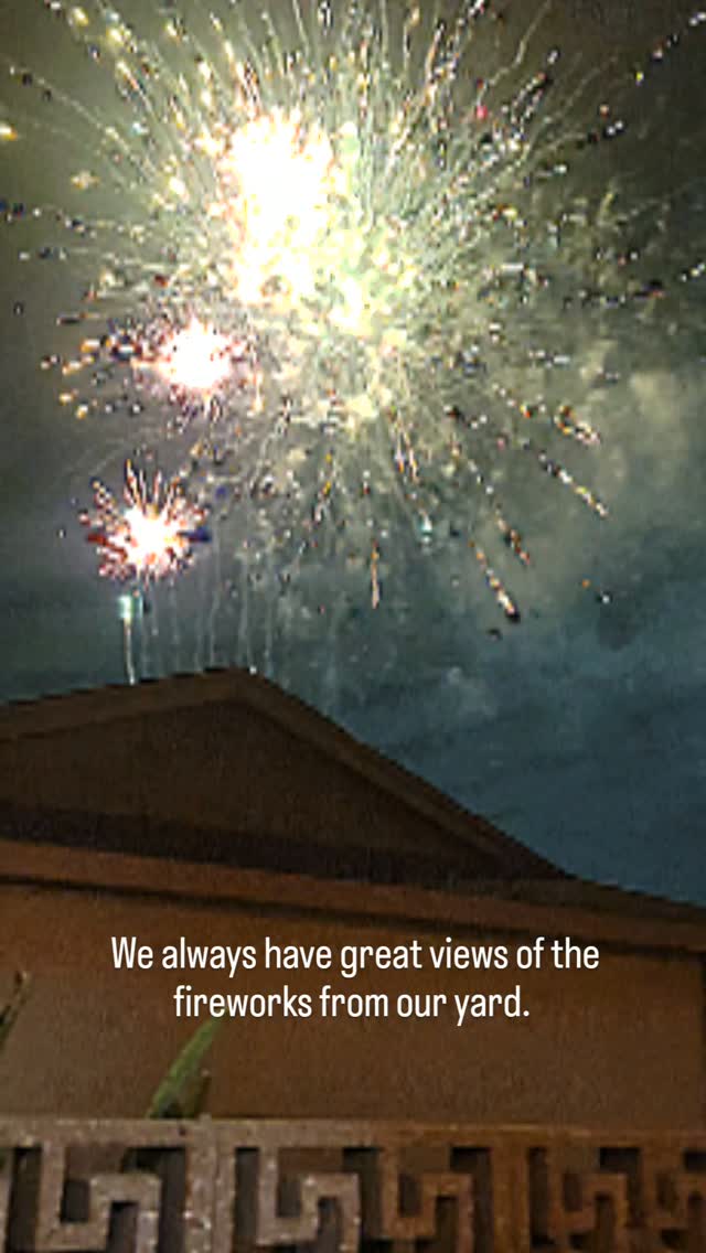 I hope your Independence Day was awesome! ❤️🤍💙

#purpleessencebyevelyn #independenceday #4thofjuly #fireworks